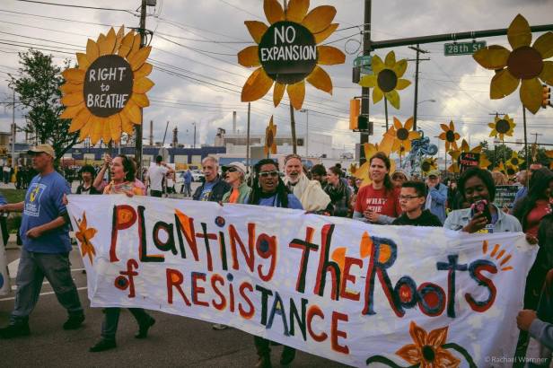 13064518_1721396841471738_7590319406896236726_o